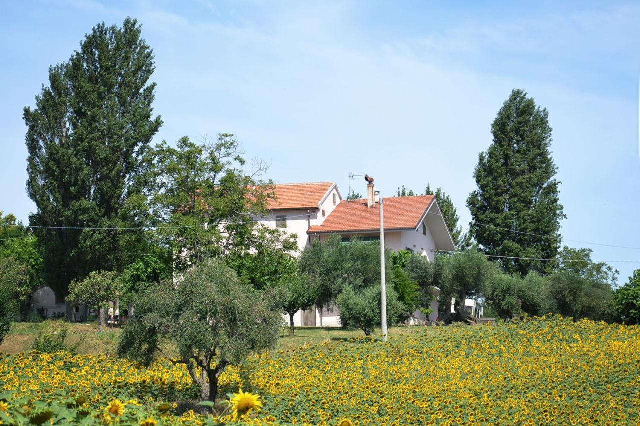 Le Piume Cupramontana