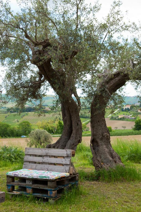 Le Piume * Cupramontana