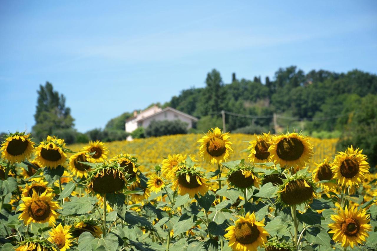 Bed & Breakfast Le Piume Cupramontana