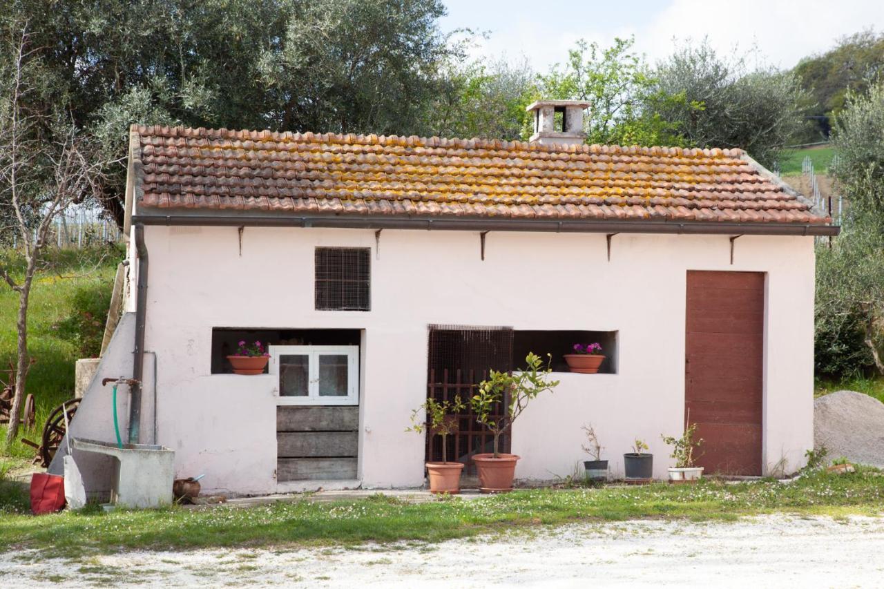 Bed & Breakfast Le Piume *