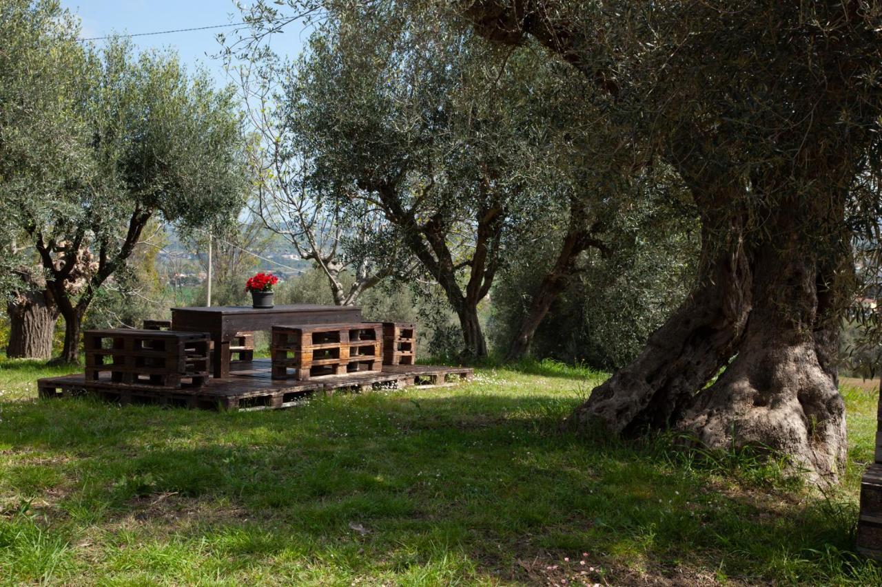 Le Piume Bed & Breakfast *