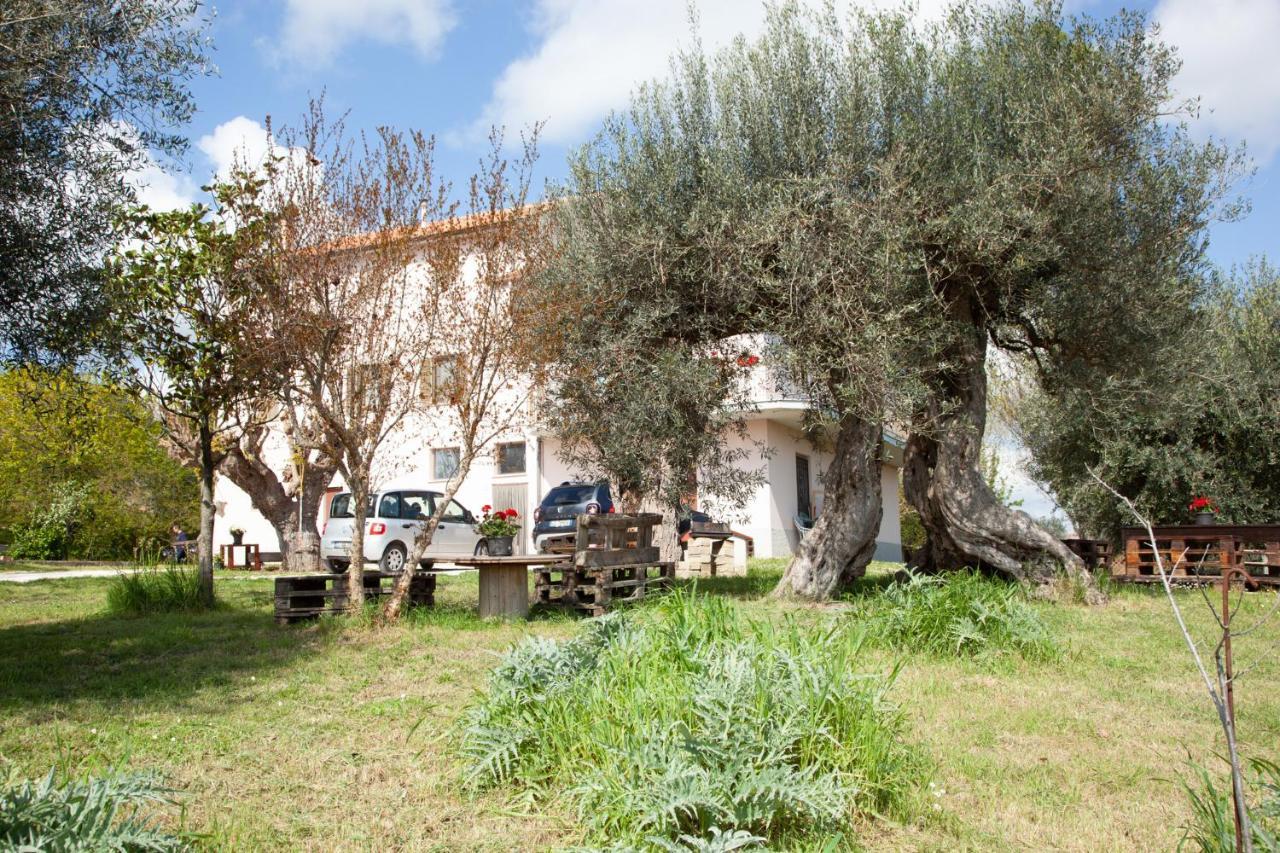 Le Piume