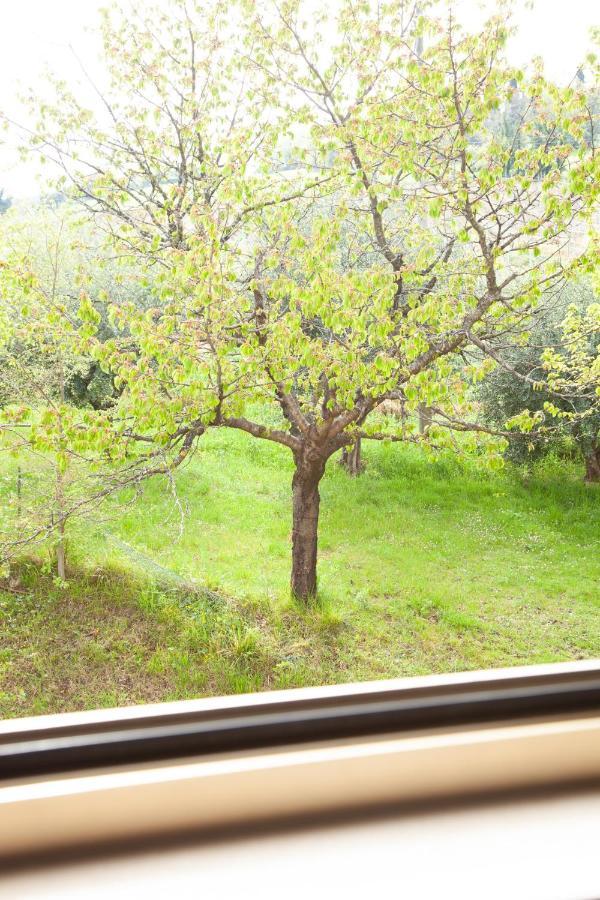 Le Piume Bed & Breakfast *