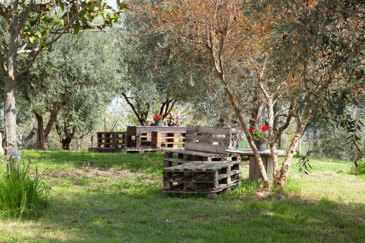 Le Piume *