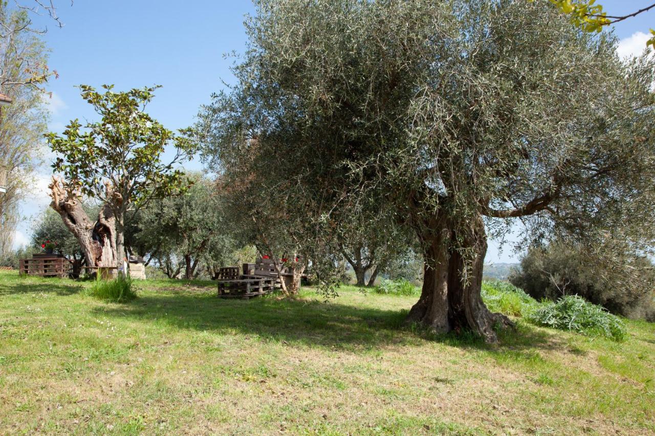 Le Piume * Cupramontana