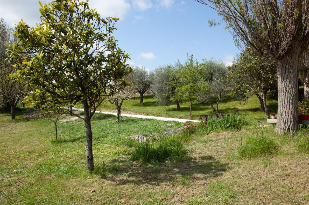 Le Piume Bed & Breakfast *